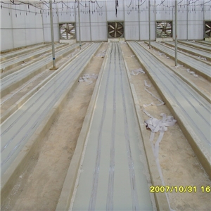 昆明大型花場自控溫電熱帶育苗項目